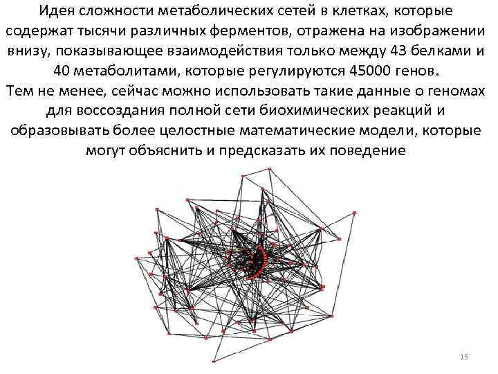 Идея сложности метаболических сетей в клетках, которые содержат тысячи различных ферментов, отражена на изображении