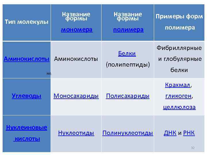 Тип молекулы Название формы Примеры форм мономера полимера Аминокислоты Белки (полипептиды) № 5 Фибриллярные