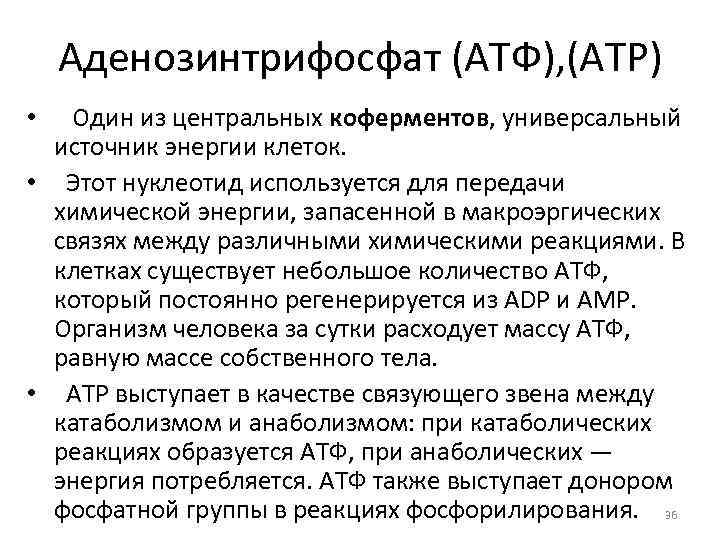 Универсальный источник энергии. Биологическая роль АТФ. Роль АТФ В обмене веществ и энергии. Роль АТФ В метаболизме. Роль АТФ В обменных процессах.