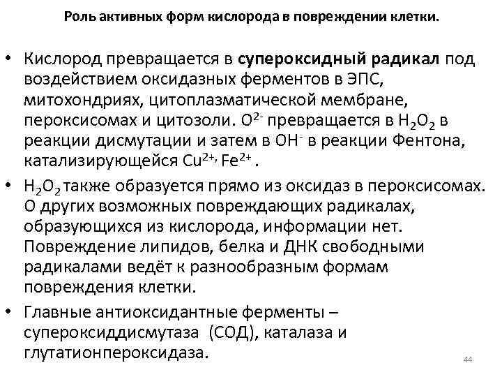 Роль активных форм кислорода в повреждении клетки. • Кислород превращается в супероксидный радикал под