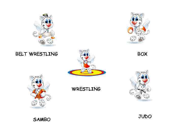 BELT WRESTLING BOX WRESTLING SAMBO JUDO 