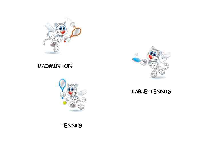 BADMINTON TABLE TENNIS 