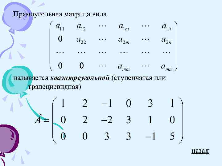 Матрица основные виды матриц. Главный ступенчатый вид матрицы. Прямоугольной матрицей называется. Метод прямоугольника матрица. Прямоугольная матрица пример.