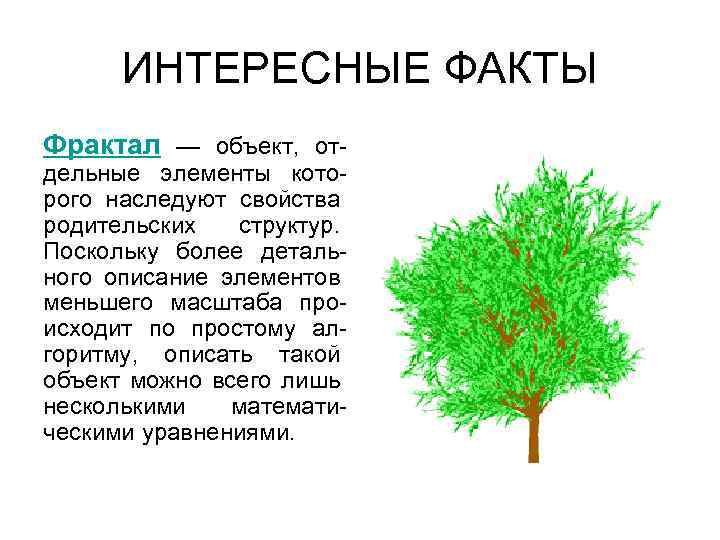 ИНТЕРЕСНЫЕ ФАКТЫ Фрактал — объект, отдельные элементы которого наследуют свойства родительских структур. Поскольку более