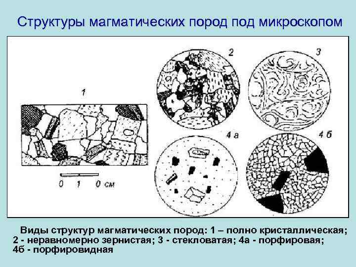 Структуры магматических пород под микроскопом Виды структур магматических пород: 1 – полно кристаллическая; 2