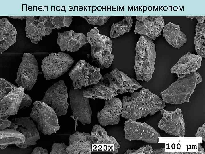 Пепел под электронным микромкопом 