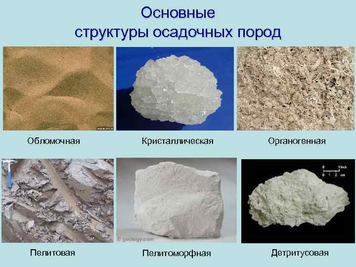 Основные структуры осадочных пород Обломочная Кристаллическая Пелитовая Пелитоморфная Органогенная Детритусовая 