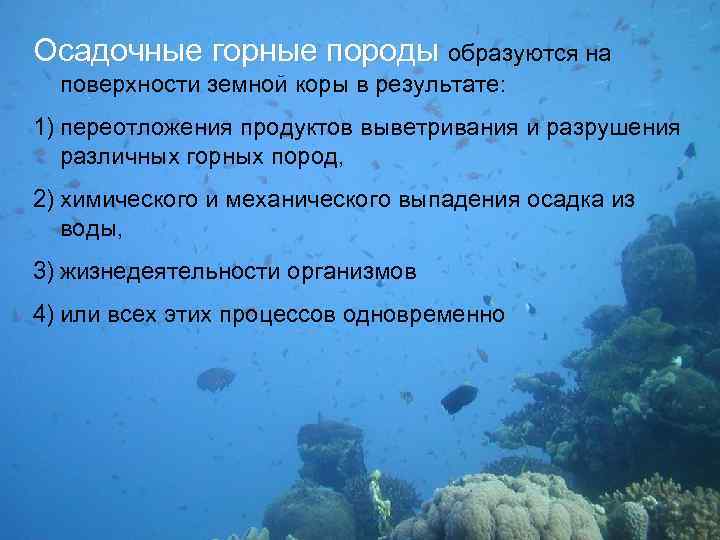 Осадочные горные породы образуются на поверхности земной коры в результате: 1) переотложения продуктов выветривания