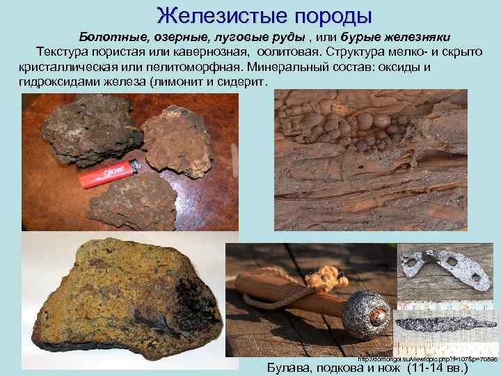  Железистые породы Болотные, озерные, луговые руды , или бурые железняки Текстура пористая или