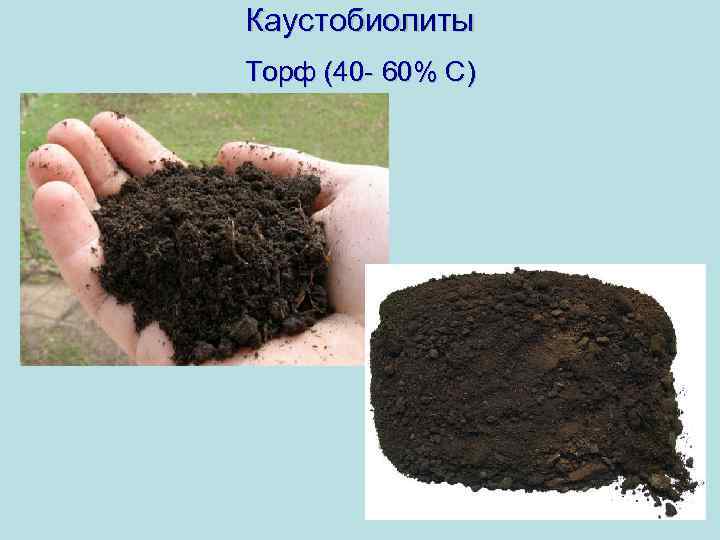 Каустобиолиты Торф (40 - 60% С) 