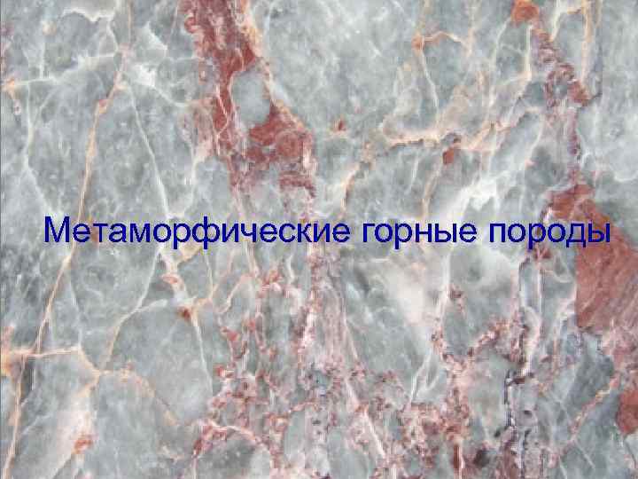 Метаморфические горные породы 