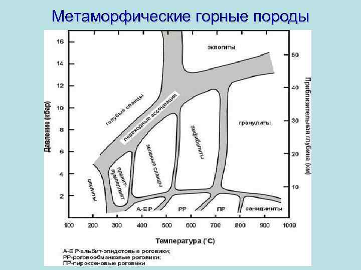 Метаморфические горные породы 