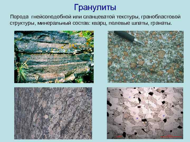 Гранулиты Порода гнейсоподобной или сланцеватой текстуры, гранобластовой структуры, минеральный состав: кварц, полевые шпаты, гранаты.