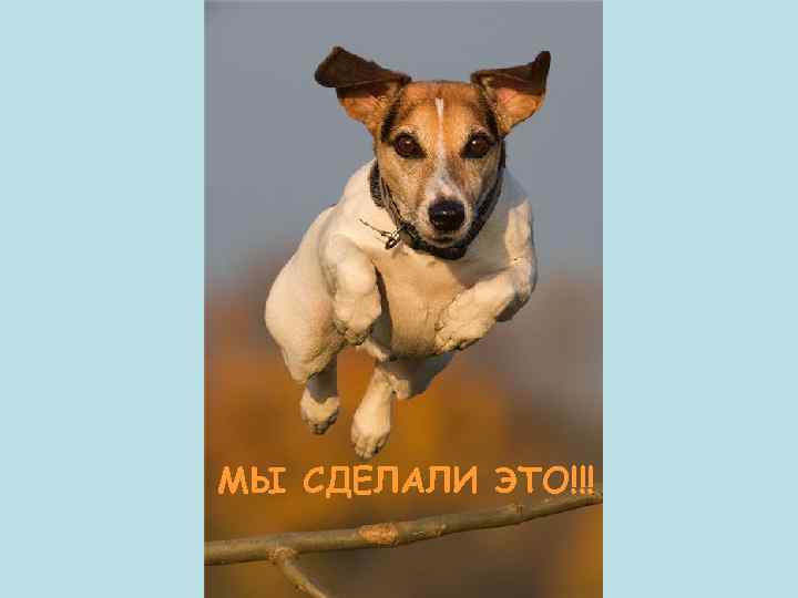 МЫ СДЕЛАЛИ ЭТО!!! 