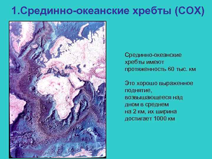 1. Срединно-океанские хребты (СОХ) Срединно-океанские хребты имеют протяженность 60 тыс. км Это хорошо выраженное