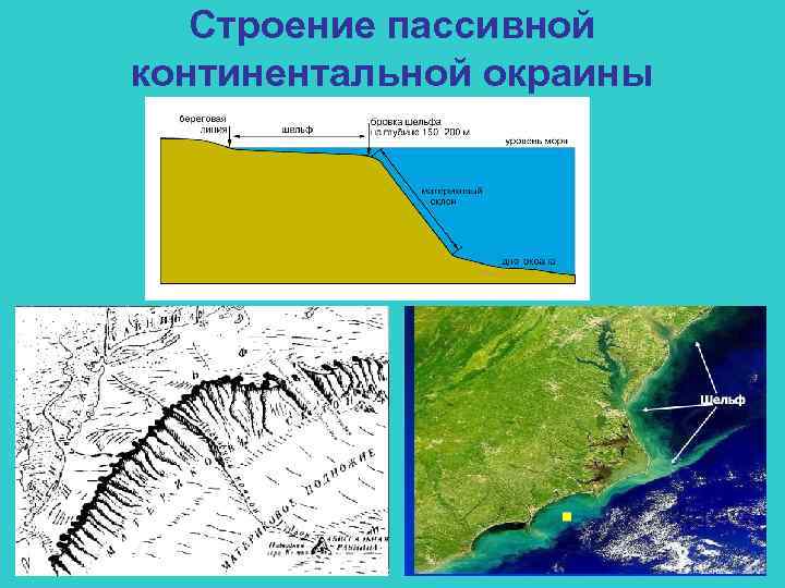 Строение пассивной континентальной окраины 