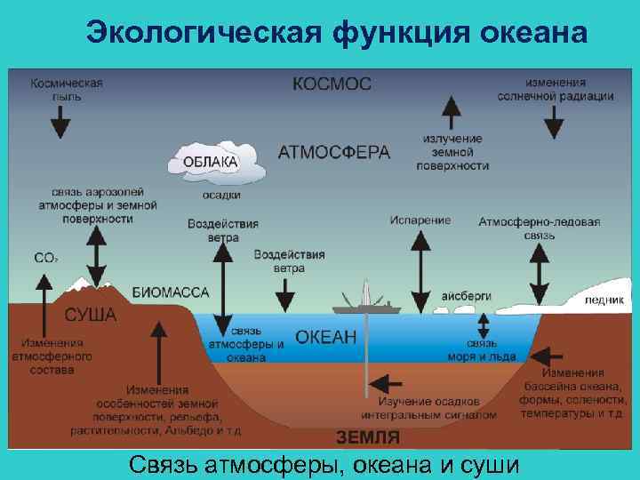 Экологическая функция океана Связь атмосферы, океана и суши 