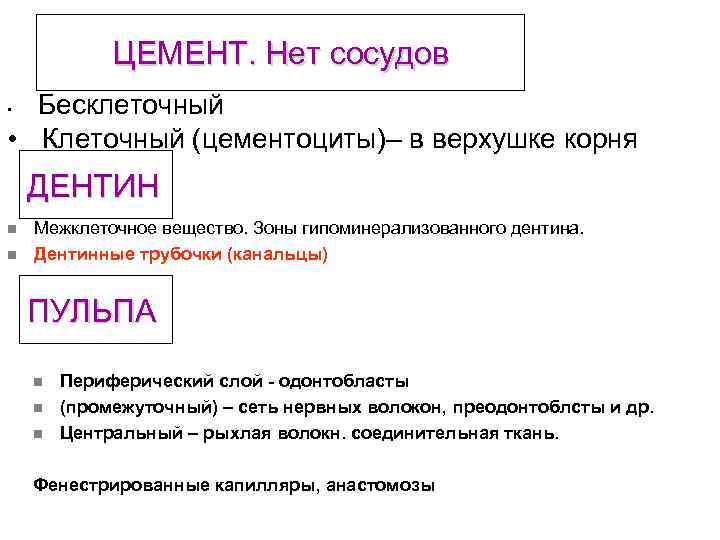 ЦЕМЕНТ. Нет сосудов Бесклеточный • Клеточный (цементоциты)– в верхушке корня • ДЕНТИН n n