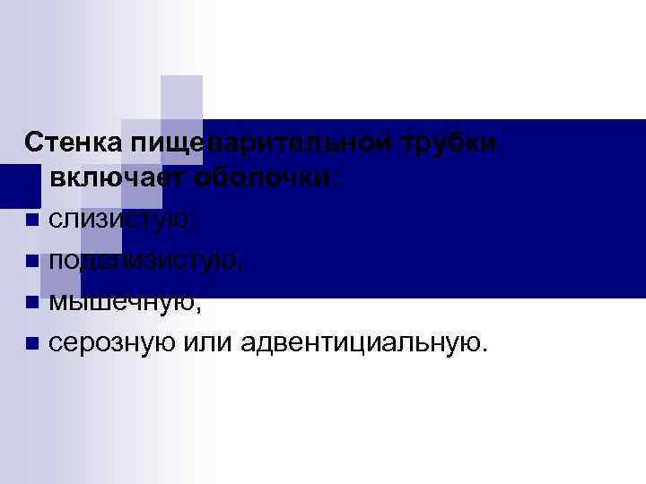 Стенка пищеварительной трубки включает оболочки: n слизистую; n подслизистую; n мышечную; n серозную или