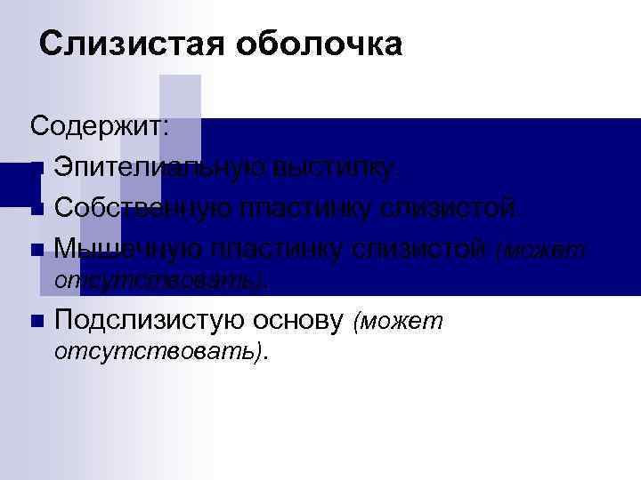 Слизистая оболочка Содержит: n Эпителиальную выстилку. n Собственную пластинку слизистой. n Мышечную пластинку слизистой