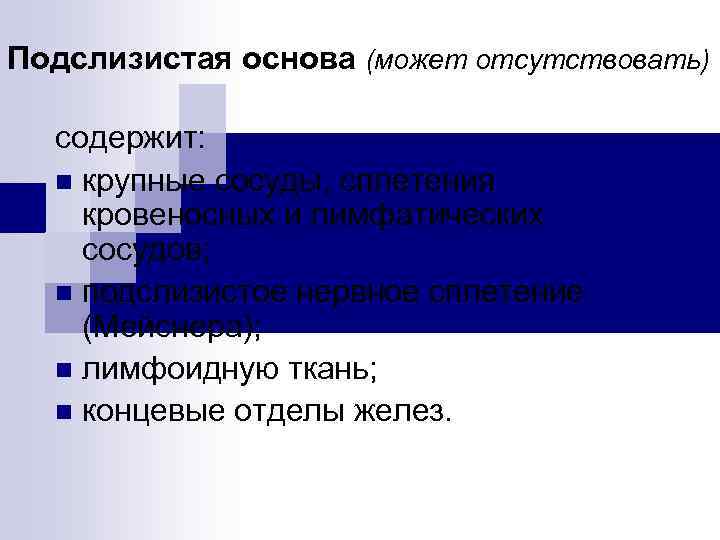 Подслизистая основа (может отсутствовать) содержит: n крупные сосуды, сплетения кровеносных и лимфатических сосудов; n