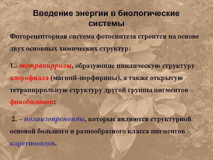 Введение энергии в биологические системы Фоторецепторная система фотосинтеза строится на основе двух основных химических