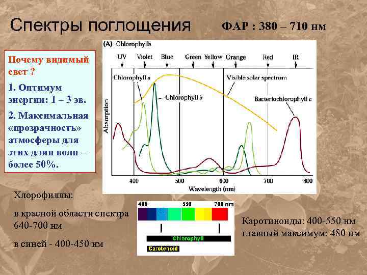 Длина волны максимумов