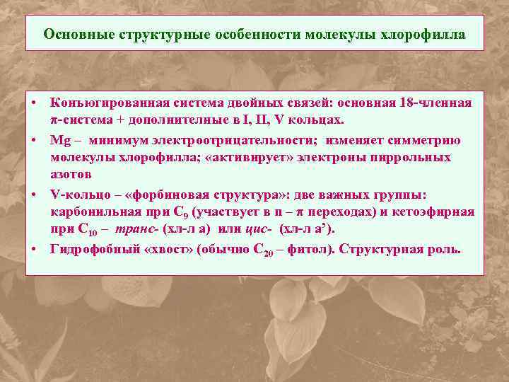 Основные структурные особенности молекулы хлорофилла • Конъюгированная система двойных связей: основная 18 -членная π-система