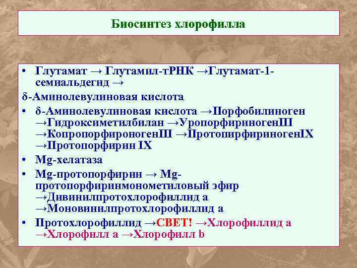 Биосинтез хлорофилла • Глутамат → Глутамил-т. РНК →Глутамат-1 семиальдегид → δ-Аминолевулиновая кислота • δ-Аминолевулиновая