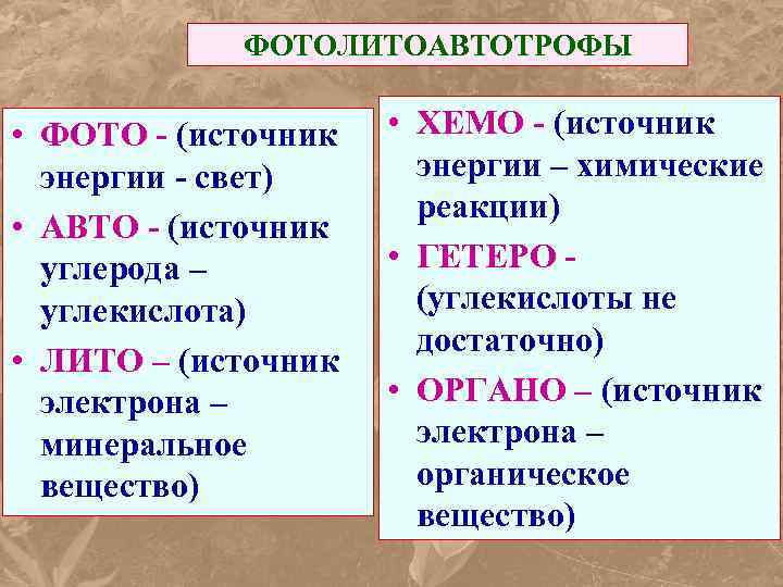 ФОТОЛИТОАВТОТРОФЫ • ФОТО - (источник энергии - свет) • АВТО - (источник углерода –