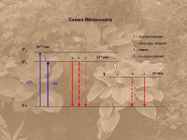 Схема яблонского люминесценция