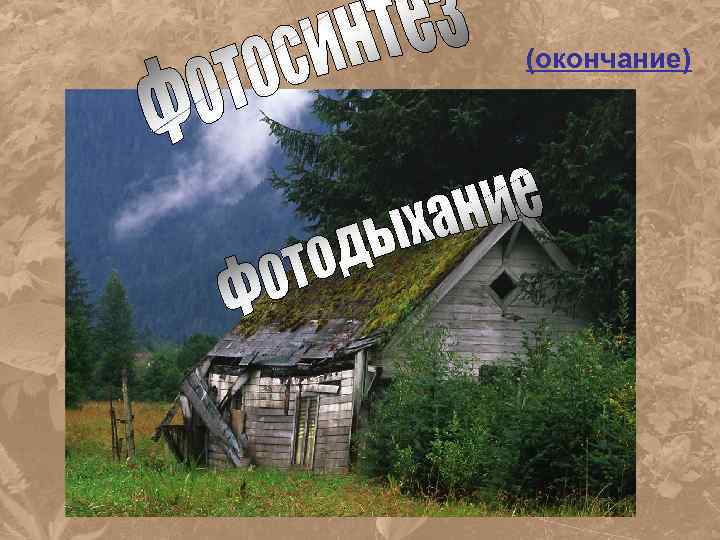 (окончание) 