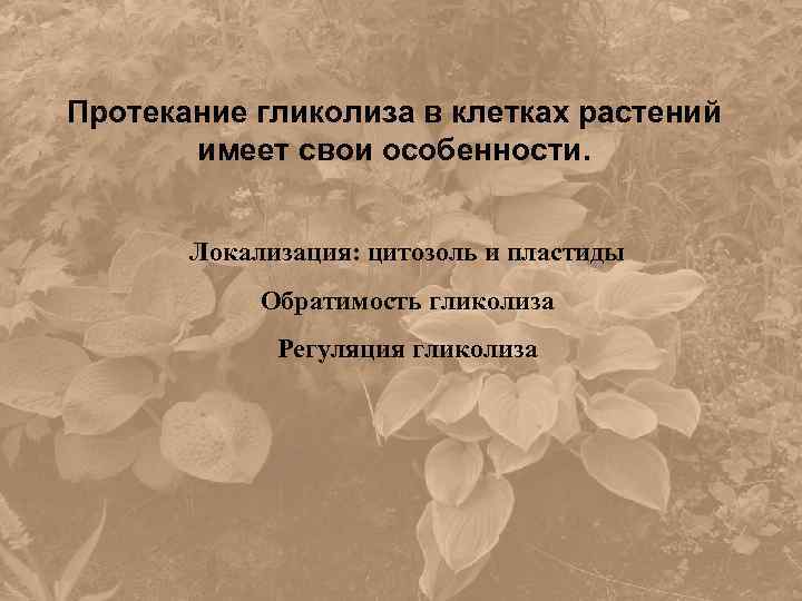 Протекание гликолиза в клетках растений имеет свои особенности. Локализация: цитозоль и пластиды Обратимость гликолиза