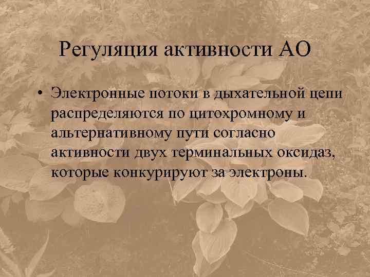 Регуляция активности АО • Электронные потоки в дыхательной цепи распределяются по цитохромному и альтернативному