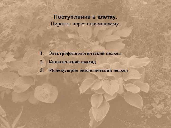 Поступление в клетку. Перенос через плазмалемму. 1. Электрофизиологический подход 2. Кинетический подход 3. Молекулярно