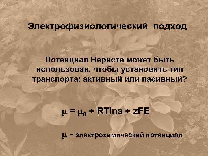 Электрофизиологический подход Потенциал Нернста может быть использован, чтобы установить тип транспорта: активный или пасивный?