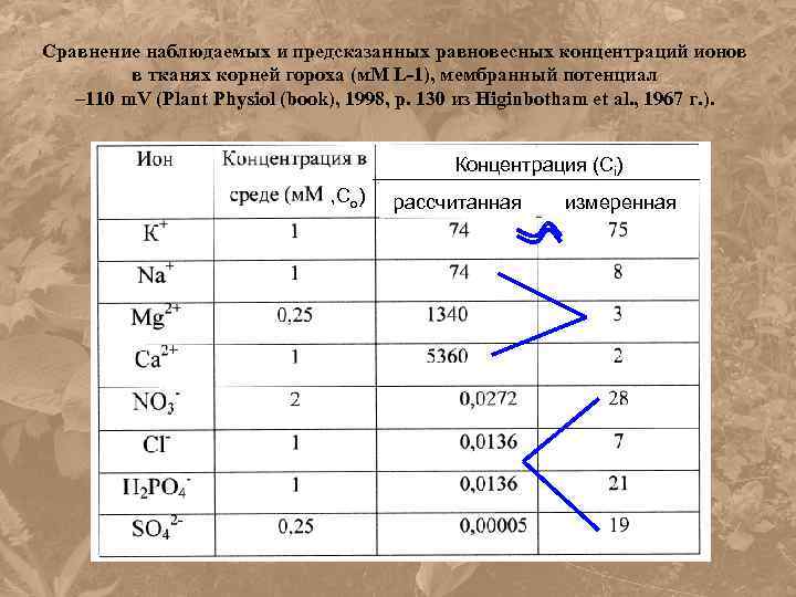 Сравнение наблюдаемых и предсказанных равновесных концентраций ионов в тканях корней гороха (м. М L-1),