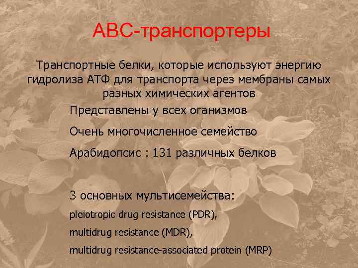 ABC-транспортеры Транспортные белки, которые используют энергию гидролиза АТФ для транспорта через мембраны самых разных