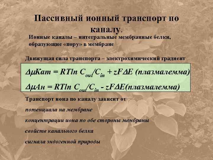 Пассивный ионный транспорт по каналу. Ионные каналы – интегральные мембранные белки, образующие «пору» в