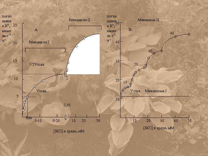 погло щени е К+, 25 мкмо ль г-1 ч-1 20 погло щени 50 е