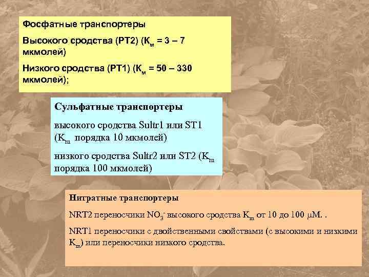 Фосфатные транспортеры Высокого сродства (PT 2) (Км = 3 – 7 мкмолей) Низкого сродства