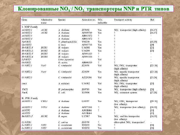 Клонированные NO 3 -/ NO 2 - транспортеры NNP и PTR типов 