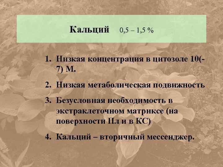 Кальций 0, 5 – 1, 5 % 1. Низкая концентрация в цитозоле 10(7) M.