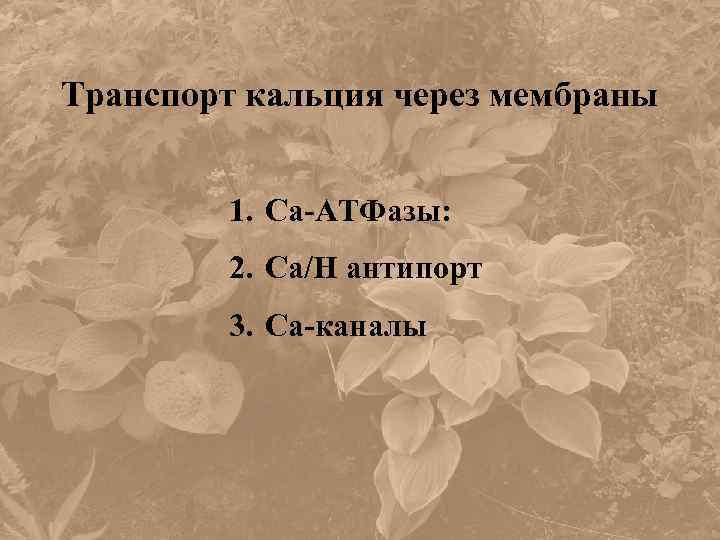 Транспорт кальция через мембраны 1. Са-АТФазы: 2. Са/Н антипорт 3. Са-каналы 