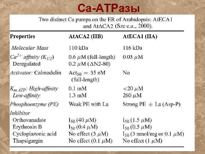 Ca-АТРазы 