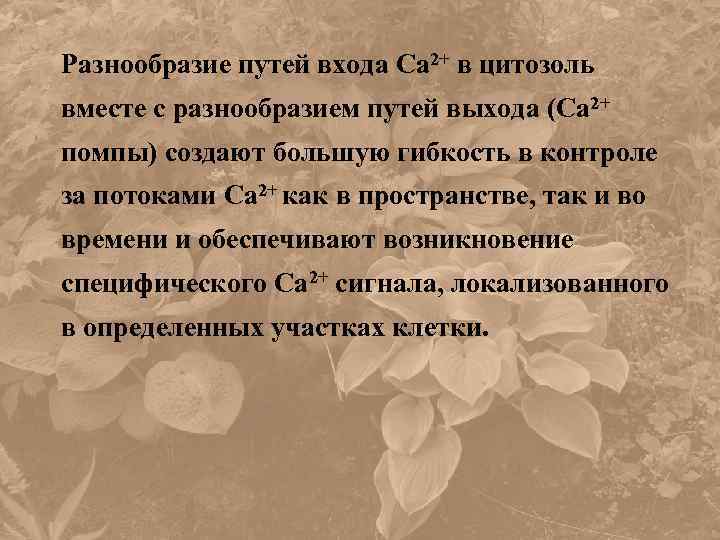 Разнообразие путей входа Са 2+ в цитозоль вместе с разнообразием путей выхода (Са 2+