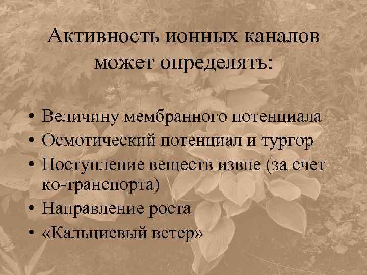 Активность ионных каналов может определять: • Величину мембранного потенциала • Осмотический потенциал и тургор