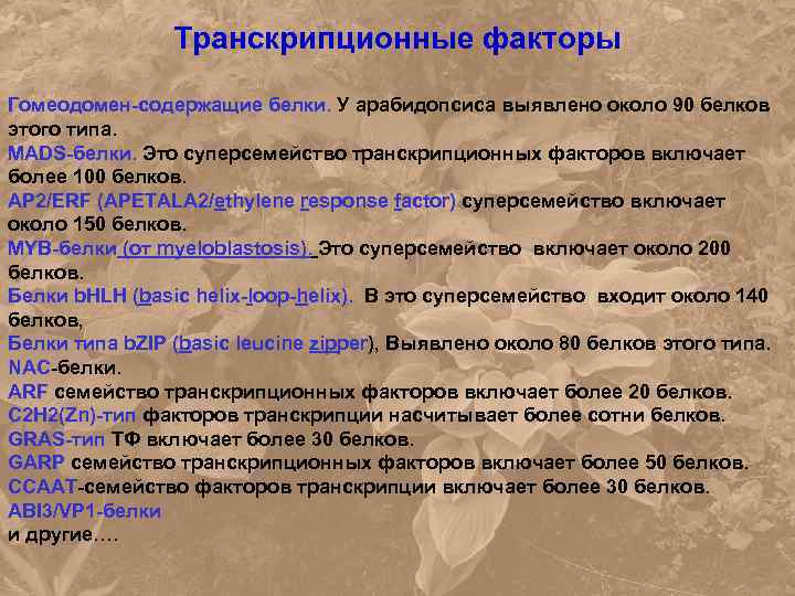 Транскрипционные факторы Гомеодомен-содержащие белки. У арабидопсиса выявлено около 90 белков этого типа. MADS-белки. Это