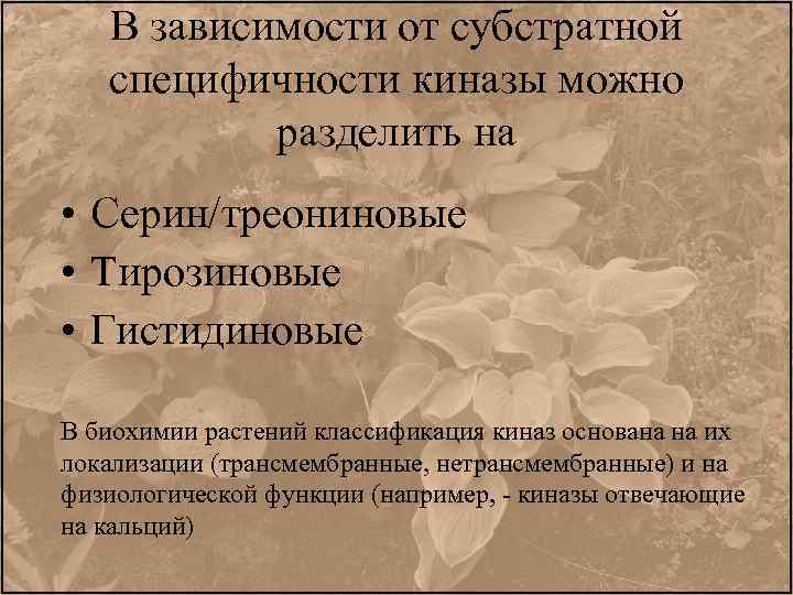 В зависимости от субстратной специфичности киназы можно разделить на • Серин/треониновые • Тирозиновые •