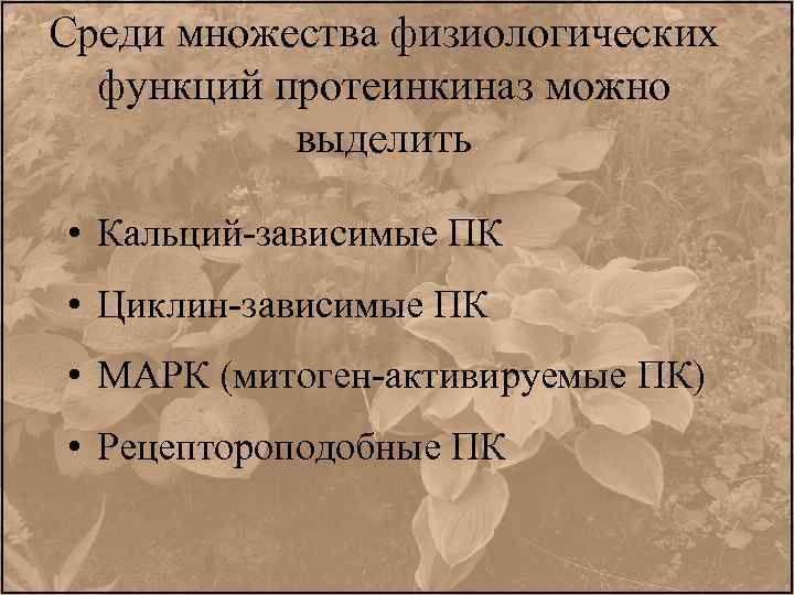 Среди множества физиологических функций протеинкиназ можно выделить • Кальций-зависимые ПК • Циклин-зависимые ПК •